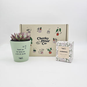 Thank You For All You Do - Succulent Gift Box