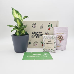 Housewarming - Plant Gift Box