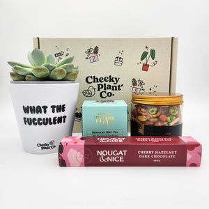 Cheeky Vibes - Succulent Gift Box