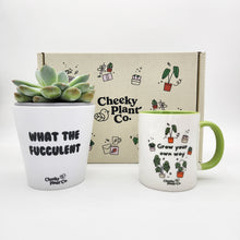 Load image into Gallery viewer, Cheeky Motivation - Succulent Gift Box
