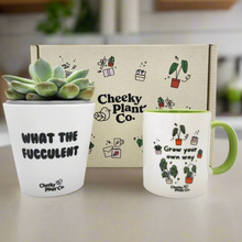Load image into Gallery viewer, Cheeky Motivation - Succulent Gift Box
