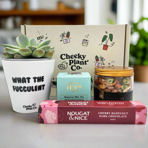 Cheeky Vibes - Succulent Gift Box