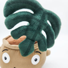 Load image into Gallery viewer, Cheeky Plant Plushie

