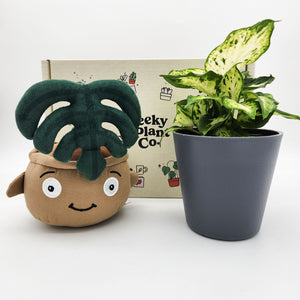 Plushie & Plant Gift Box