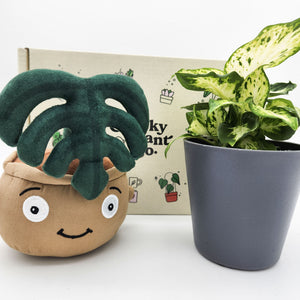 Plushie & Plant Gift Box