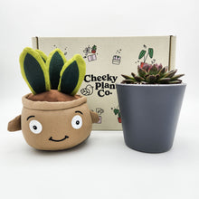 Load image into Gallery viewer, Cheeky Snake Plant Plushie &amp; Succulent Gift Box

