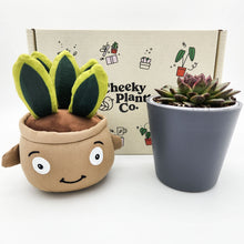 Load image into Gallery viewer, Cheeky Snake Plant Plushie &amp; Succulent Gift Box
