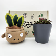 Load image into Gallery viewer, Cheeky Snake Plant Plushie &amp; Succulent Gift Box
