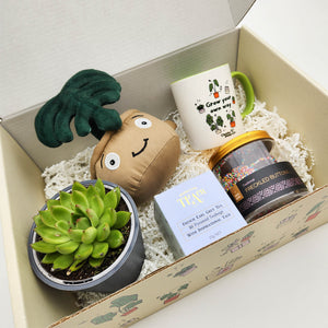 Happy Birthday - Succulent Gift Box