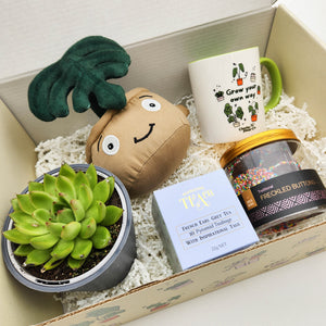 Happy Birthday - Succulent Gift Box
