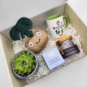 Happy Birthday - Succulent Gift Box