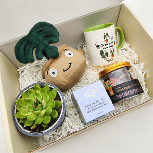 Happy Birthday - Succulent Gift Box