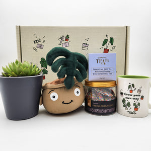 Happy Birthday - Succulent Gift Box