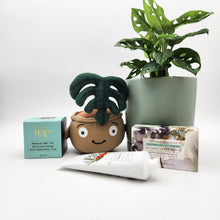 Load image into Gallery viewer, Happy Birthday Plant Hamper - Sydney Only
