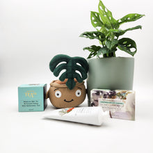 Load image into Gallery viewer, Happy Birthday Plant Hamper - Sydney Only
