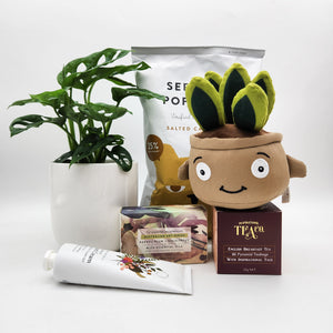 Best Birthday - Assorted Plant Gift Hamper - Sydney Only