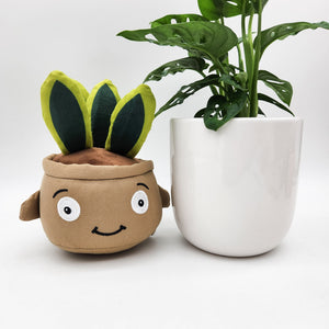 Potted Plant and Plant Plushie Gift - 120mm - Sydney Only