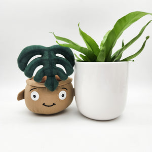 Potted Plant and Plant Plushie Gift - 120mm - Sydney Only