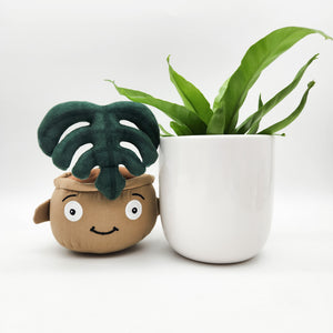 Potted Plant and Plant Plushie Gift - 120mm - Sydney Only