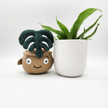 Load image into Gallery viewer, Potted Plant and Plant Plushie Gift - 120mm - Sydney Only
