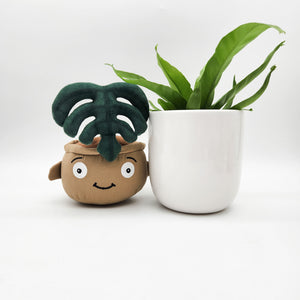 Potted Plant and Plant Plushie Gift - 120mm - Sydney Only