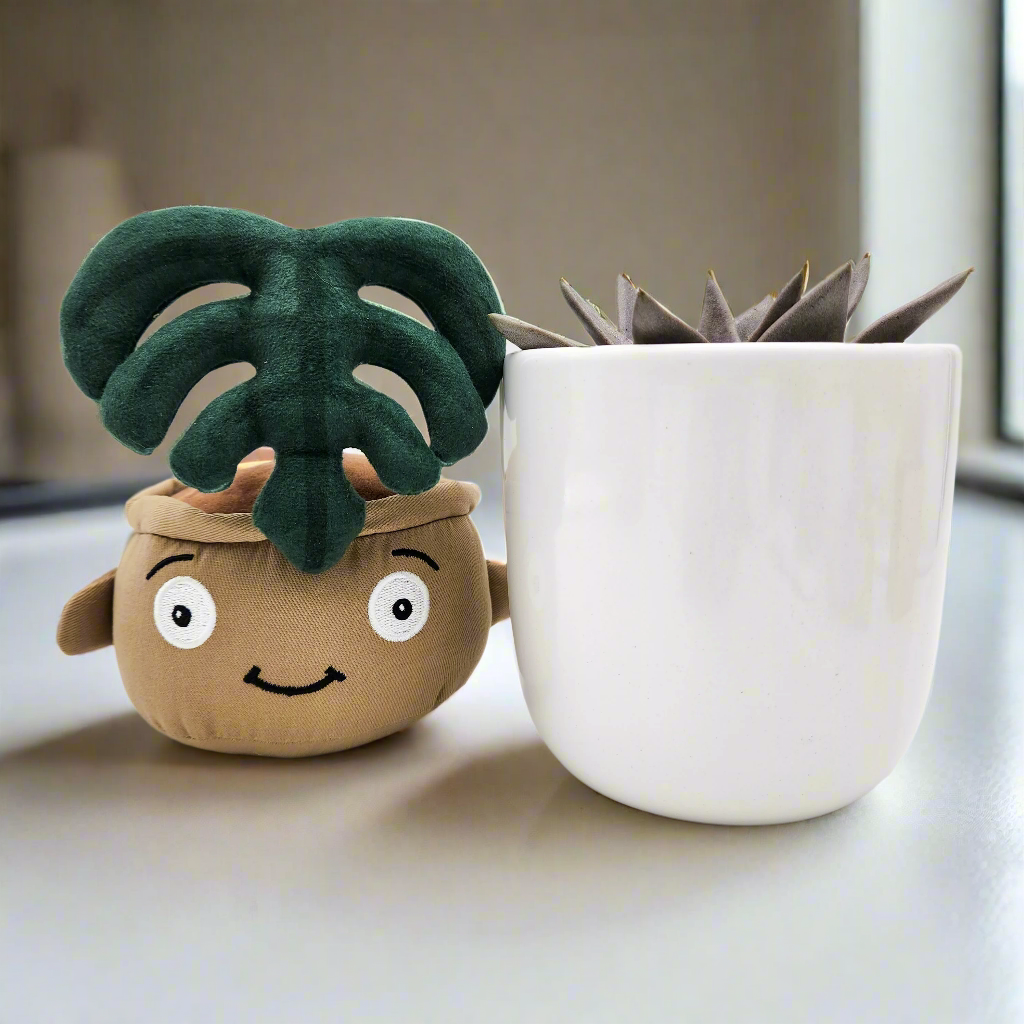 Succulent & Plant Plushie Gift - Sydney Only