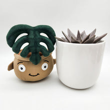 Load image into Gallery viewer, Succulent &amp; Plant Plushie Gift - Sydney Only
