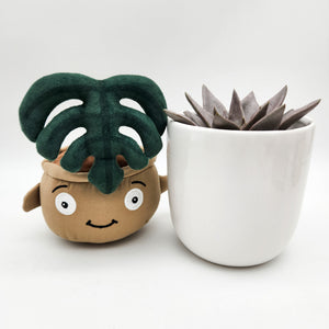 Succulent & Plant Plushie Gift - Sydney Only