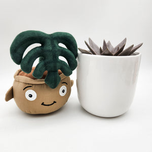 Succulent & Plant Plushie Gift - Sydney Only