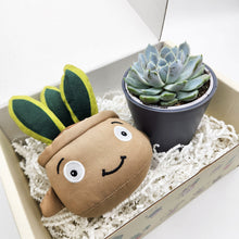 Load image into Gallery viewer, Cheeky Snake Plant Plushie &amp; Succulent Gift Box
