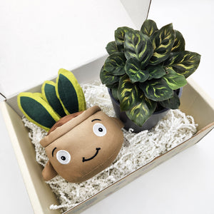 Plushie & Plant Gift Box