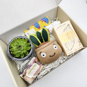 Pamper - Succulent Hamper / Succulent Gift Box