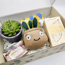 Load image into Gallery viewer, Pamper - Succulent Hamper / Succulent Gift Box
