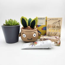 Load image into Gallery viewer, Pamper - Succulent Hamper / Succulent Gift Box - Sydney Only
