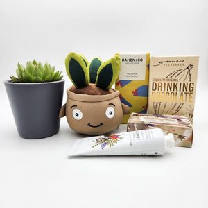 Pamper - Succulent Hamper / Succulent Gift Box - Sydney Only