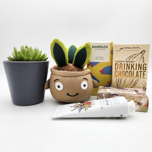 Load image into Gallery viewer, Pamper - Succulent Hamper / Succulent Gift Box - Sydney Only
