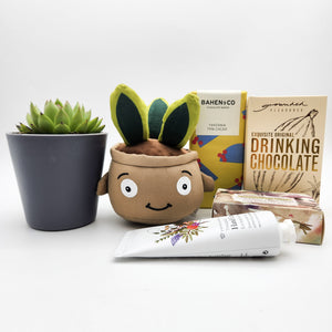 Pamper - Succulent Hamper / Succulent Gift Box - Sydney Only