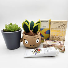 Load image into Gallery viewer, Pamper - Succulent Hamper / Succulent Gift Box - Sydney Only
