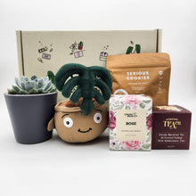 Load image into Gallery viewer, Thank You - Succulent Hamper / Succulent Gift Box
