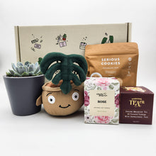 Load image into Gallery viewer, Thank You - Succulent Hamper / Succulent Gift Box
