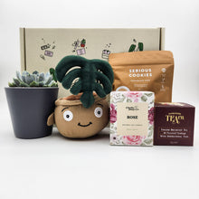 Load image into Gallery viewer, Thank You - Succulent Hamper / Succulent Gift Box
