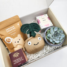 Load image into Gallery viewer, Thank You - Succulent Hamper / Succulent Gift Box
