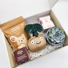 Load image into Gallery viewer, Thank You - Succulent Hamper / Succulent Gift Box
