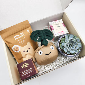 Thank You - Succulent Hamper / Succulent Gift Box
