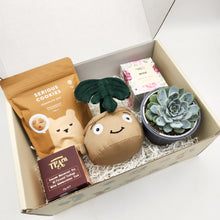 Load image into Gallery viewer, Thank You - Succulent Hamper / Succulent Gift Box

