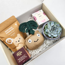 Load image into Gallery viewer, Thank You - Succulent Hamper / Succulent Gift Box
