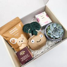 Load image into Gallery viewer, Thank You - Succulent Hamper / Succulent Gift Box
