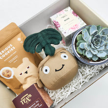 Load image into Gallery viewer, Thank You - Succulent Hamper / Succulent Gift Box
