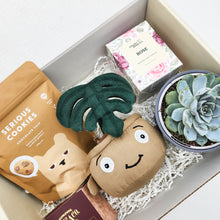 Load image into Gallery viewer, Thank You - Succulent Hamper / Succulent Gift Box
