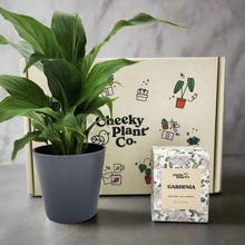 Load image into Gallery viewer, Peace Lily &amp; Candle Gift Box
